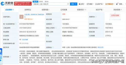 尼康儀器上海公司注銷 計算機軟件產業(yè)變革的信號？